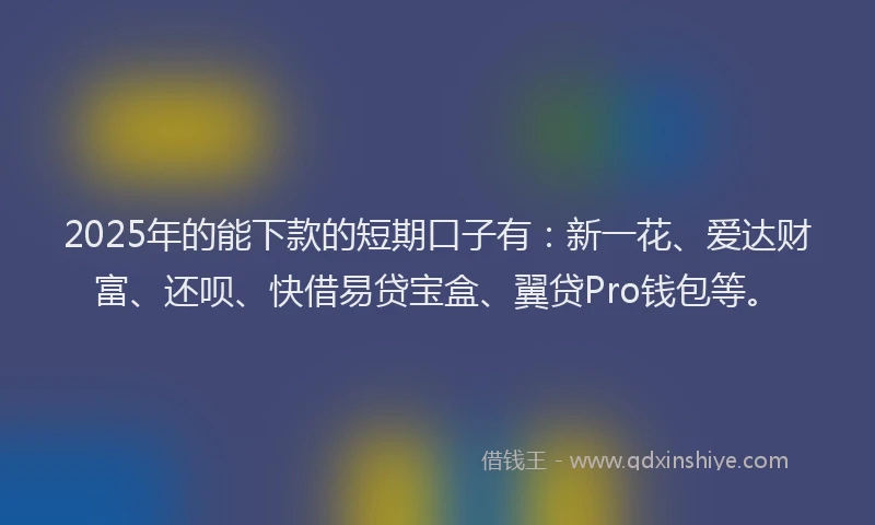 2025年的能下款的短期口子有：新一花、爱达财富、还呗、快借易贷宝盒、翼贷Pro钱包等。
