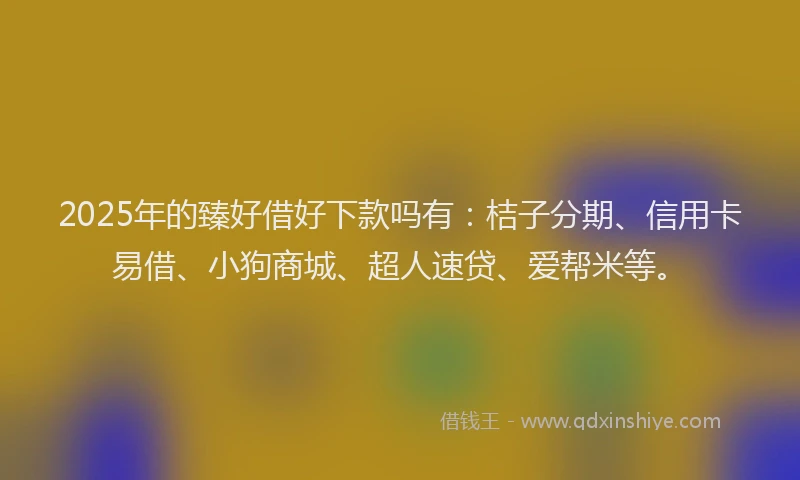 2025年的臻好借好下款吗有：桔子分期、信用卡易借、小狗商城、超人速贷、爱帮米等。