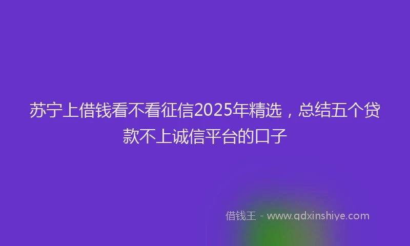 苏宁上借钱看不看征信2025年精选，总结五个贷款不上诚信平台的口子