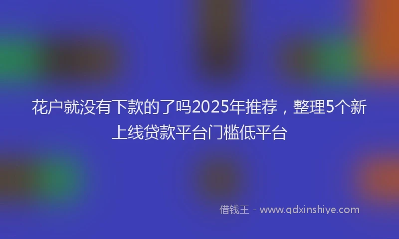 花户就没有下款的了吗2025年推荐，整理5个新上线贷款平台门槛低平台