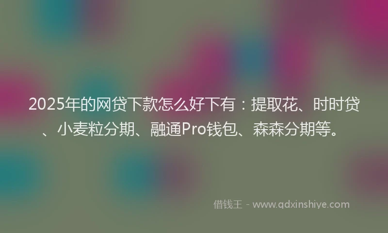2025年的网贷下款怎么好下有：提取花、时时贷、小麦粒分期、融通Pro钱包、森森分期等。