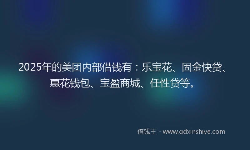 2025年的美团内部借钱有：乐宝花、固金快贷、惠花钱包、宝盈商城、任性贷等。