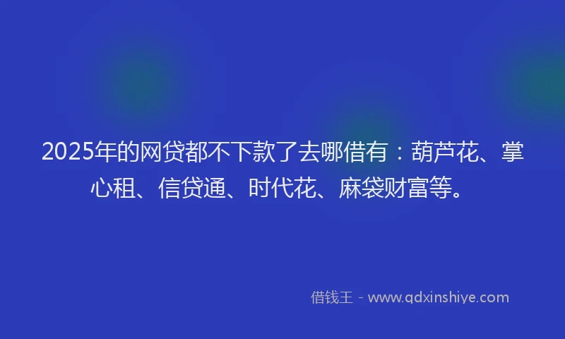 2025年的网贷都不下款了去哪借有：葫芦花、掌心租、信贷通、时代花、麻袋财富等。