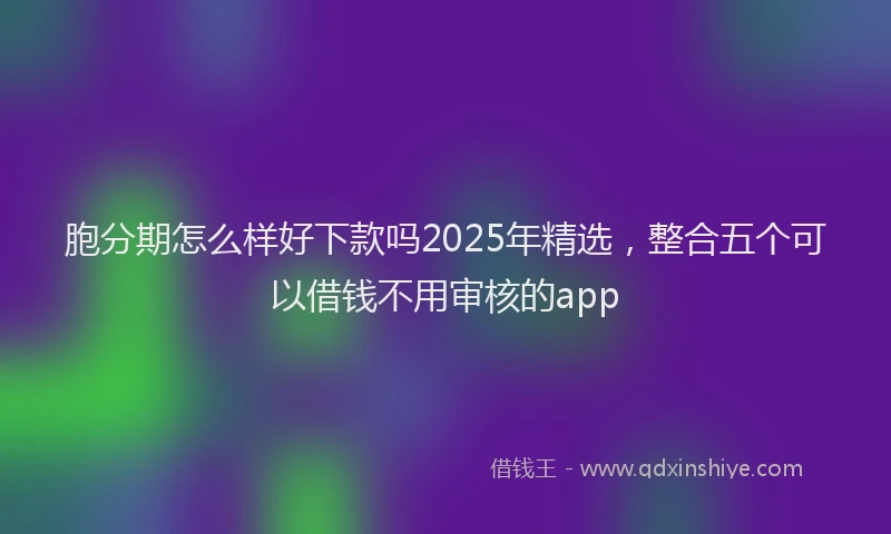 胞分期怎么样好下款吗2025年精选，整合五个可以借钱不用审核的app