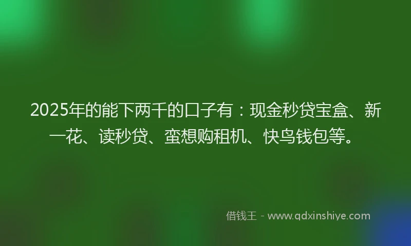 2025年的能下两千的口子有：现金秒贷宝盒、新一花、读秒贷、蛮想购租机、快鸟钱包等。
