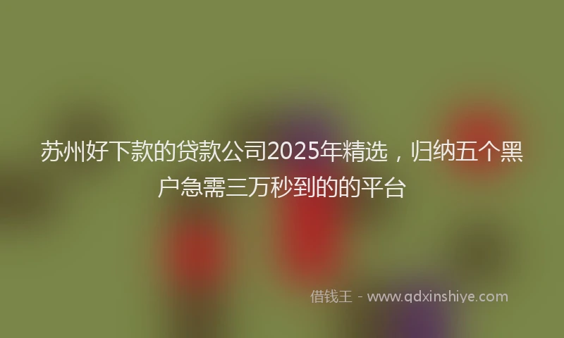 苏州好下款的贷款公司2025年精选，归纳五个黑户急需三万秒到的的平台