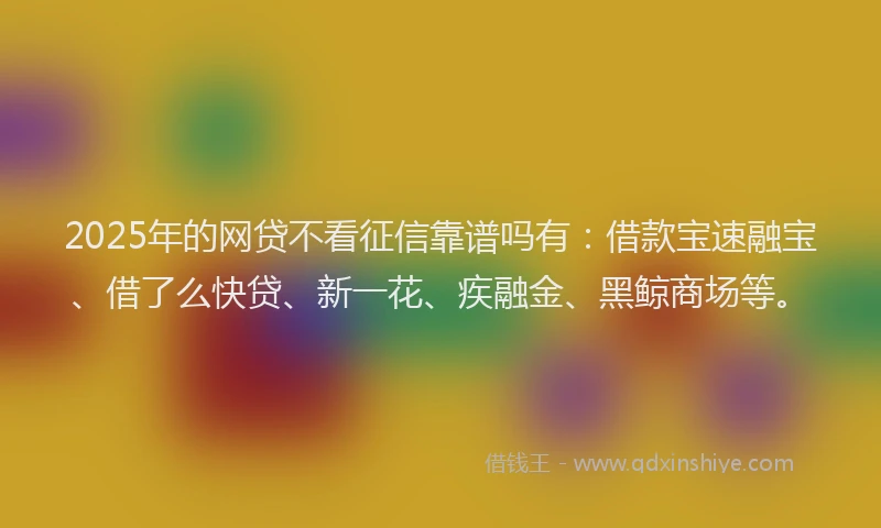2025年的网贷不看征信靠谱吗有：借款宝速融宝、借了么快贷、新一花、疾融金、黑鲸商场等。
