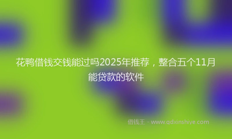 花鸭借钱交钱能过吗2025年推荐，整合五个11月能贷款的软件