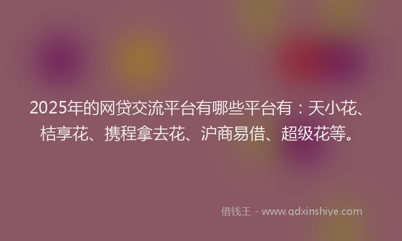2025年的网贷交流平台有哪些平台有：天小花、桔享花、携程拿去花、沪商易借、超级花等。