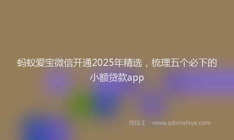 蚂蚁爱宝微信开通2025年精选，梳理五个必下的小额贷款app