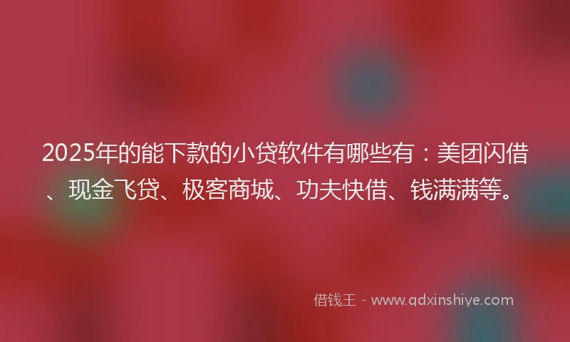 2025年的能下款的小贷软件有哪些有：美团闪借、现金飞贷、极客商城、功夫快借、钱满满等。