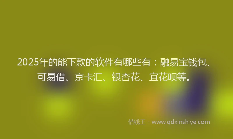 2025年的能下款的软件有哪些有：融易宝钱包、可易借、京卡汇、银杏花、宜花呗等。