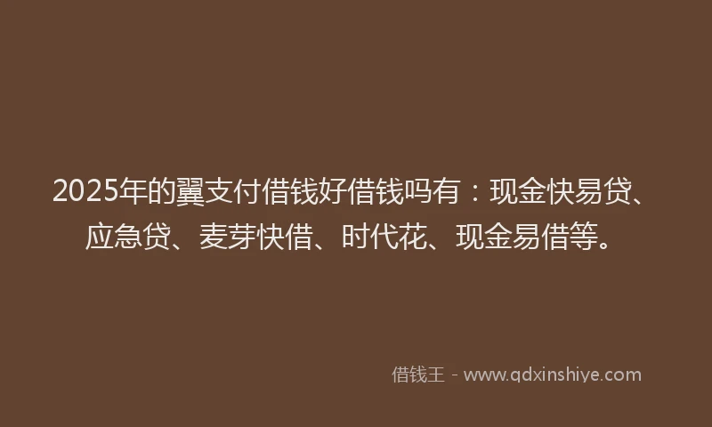 2025年的翼支付借钱好借钱吗有：现金快易贷、应急贷、麦芽快借、时代花、现金易借等。