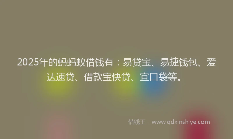 2025年的蚂蚂蚁借钱有：易贷宝、易捷钱包、爱达速贷、借款宝快贷、宜口袋等。