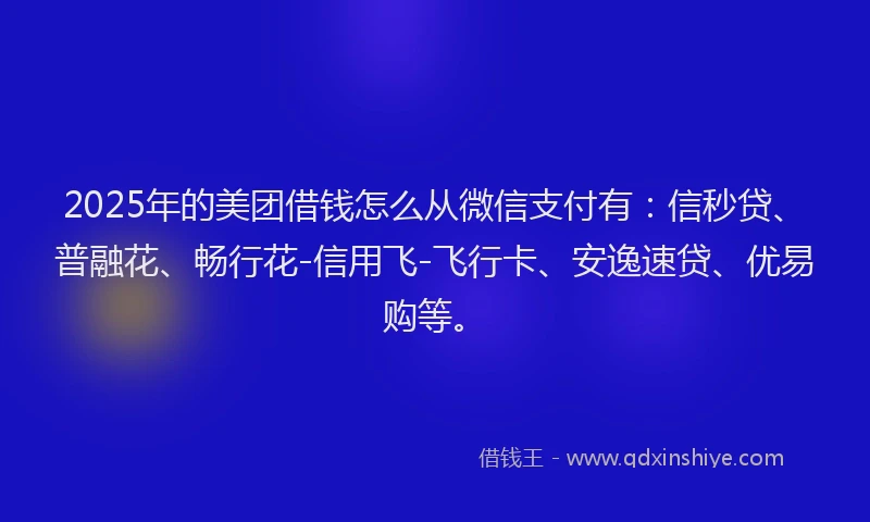 2025年的美团借钱怎么从微信支付有：信秒贷、普融花、畅行花-信用飞-飞行卡、安逸速贷、优易购等。