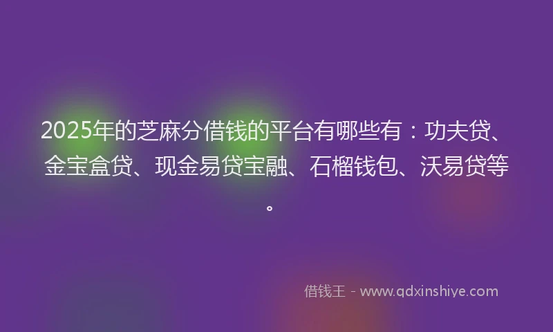 2025年的芝麻分借钱的平台有哪些有：功夫贷、金宝盒贷、现金易贷宝融、石榴钱包、沃易贷等。