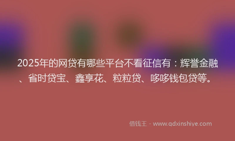 2025年的网贷有哪些平台不看征信有：辉誉金融、省时贷宝、鑫享花、粒粒贷、哆哆钱包贷等。