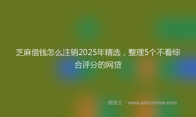 芝麻借钱怎么注销2025年精选，整理5个不看综合评分的网贷