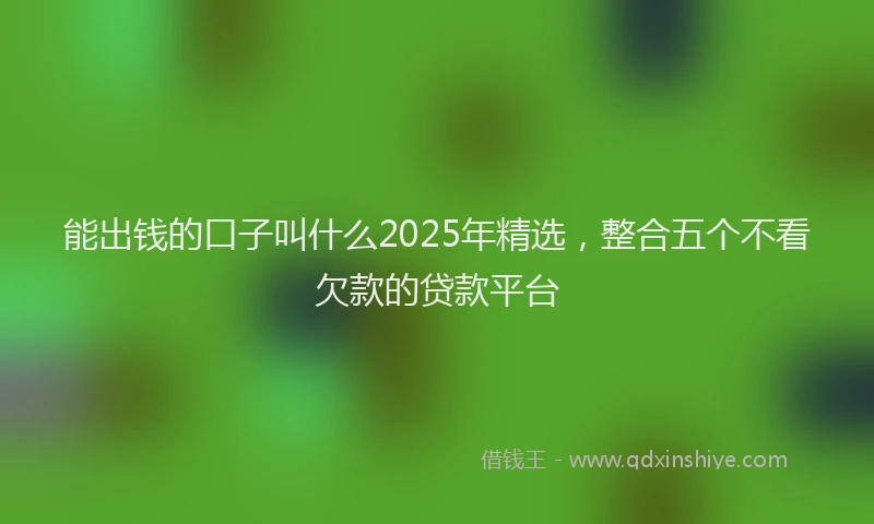 能出钱的口子叫什么2025年精选，整合五个不看欠款的贷款平台