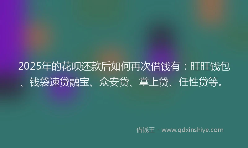 2025年的花呗还款后如何再次借钱有：旺旺钱包、钱袋速贷融宝、众安贷、掌上贷、任性贷等。