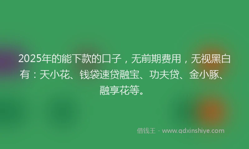 2025年的能下款的口子，无前期费用，无视黑白有：天小花、钱袋速贷融宝、功夫贷、金小豚、融享花等。