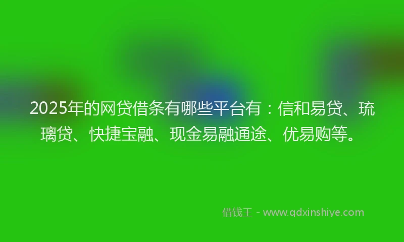2025年的网贷借条有哪些平台有：信和易贷、琉璃贷、快捷宝融、现金易融通途、优易购等。