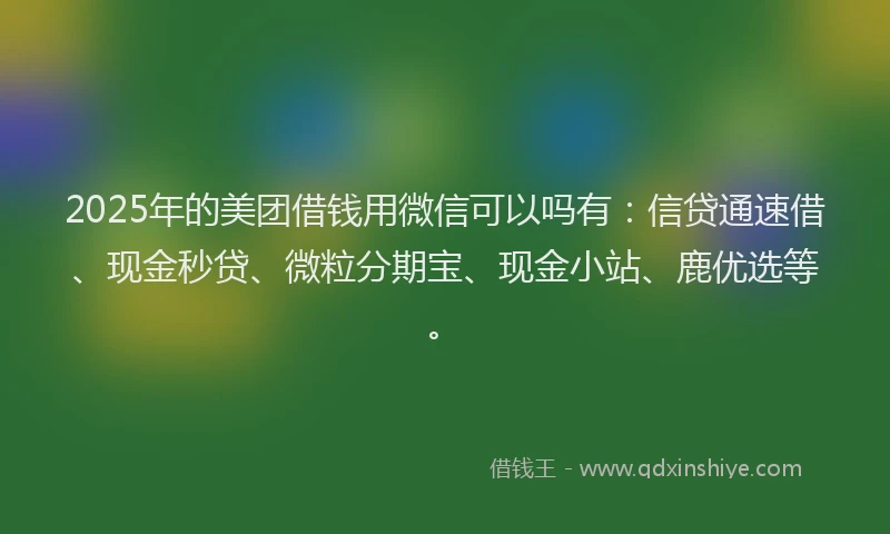 2025年的美团借钱用微信可以吗有：信贷通速借、现金秒贷、微粒分期宝、现金小站、鹿优选等。