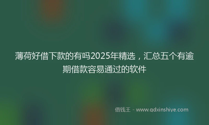 薄荷好借下款的有吗2025年精选，汇总五个有逾期借款容易通过的软件