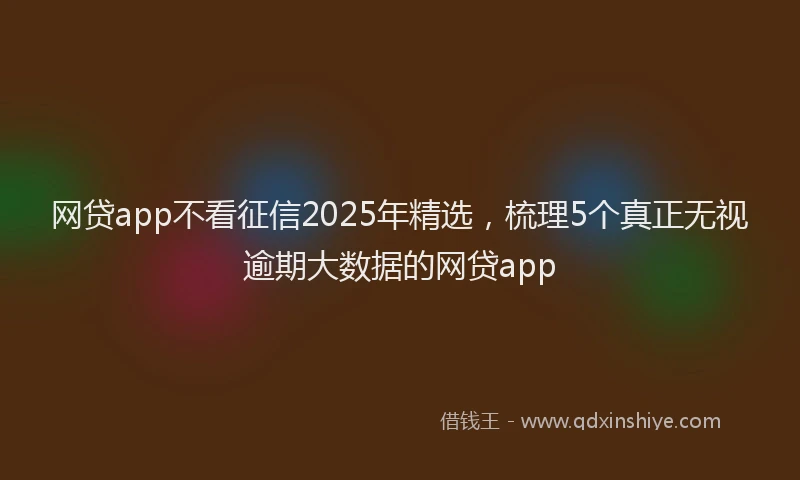 网贷app不看征信2025年精选，梳理5个真正无视逾期大数据的网贷app
