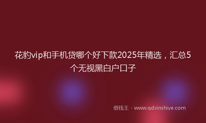 花豹vip和手机贷哪个好下款2025年精选，汇总5个无视黑白户口子