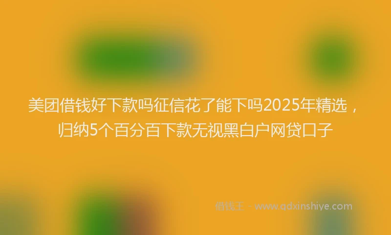 美团借钱好下款吗征信花了能下吗2025年精选，归纳5个百分百下款无视黑白户网贷口子
