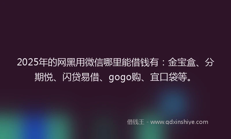 2025年的网黑用微信哪里能借钱有：金宝盒、分期悦、闪贷易借、gogo购、宜口袋等。