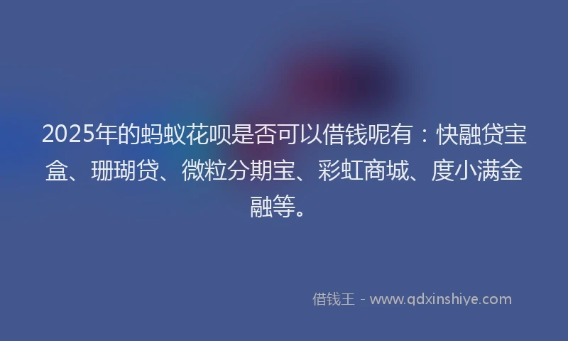2025年的蚂蚁花呗是否可以借钱呢有：快融贷宝盒、珊瑚贷、微粒分期宝、彩虹商城、度小满金融等。
