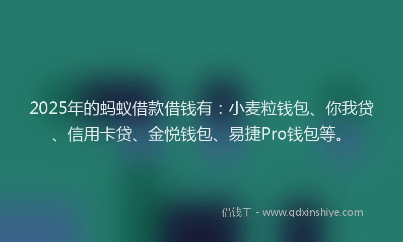 2025年的蚂蚁借款借钱有：小麦粒钱包、你我贷、信用卡贷、金悦钱包、易捷Pro钱包等。