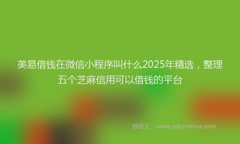 美易借钱在微信小程序叫什么2025年精选，整理五个芝麻信用可以借钱的平台