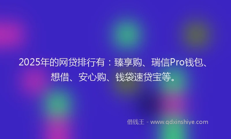 2025年的网贷排行有：臻享购、瑞信Pro钱包、想借、安心购、钱袋速贷宝等。