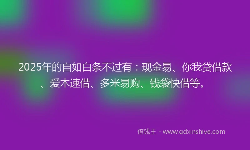 2025年的自如白条不过有：现金易、你我贷借款、爱木速借、多米易购、钱袋快借等。