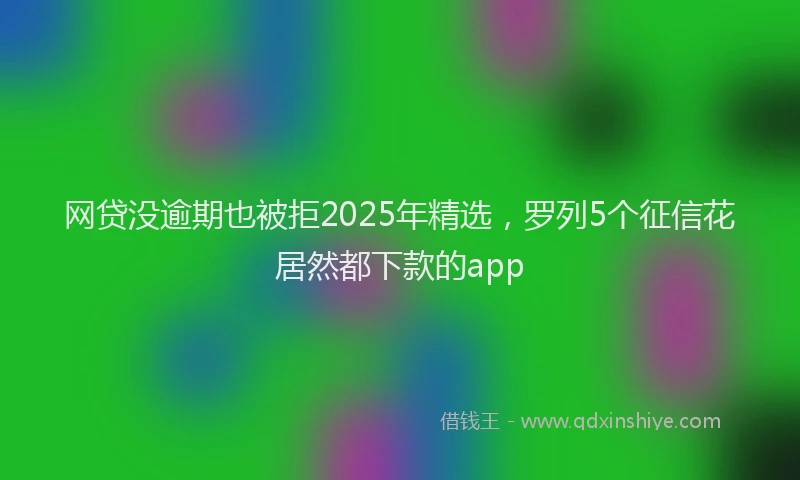 网贷没逾期也被拒2025年精选，罗列5个征信花居然都下款的app