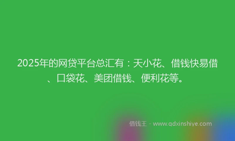 2025年的网贷平台总汇有：天小花、借钱快易借、口袋花、美团借钱、便利花等。