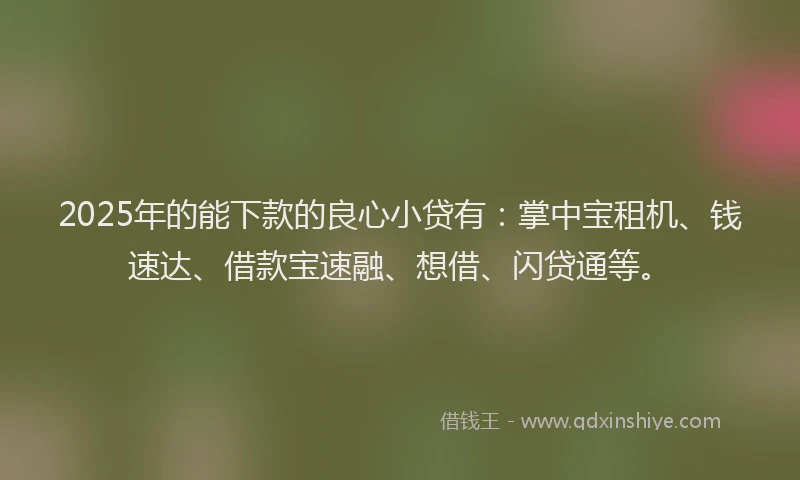2025年的能下款的良心小贷有：掌中宝租机、钱速达、借款宝速融、想借、闪贷通等。