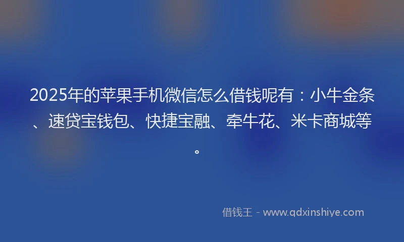 2025年的苹果手机微信怎么借钱呢有：小牛金条、速贷宝钱包、快捷宝融、牵牛花、米卡商城等。