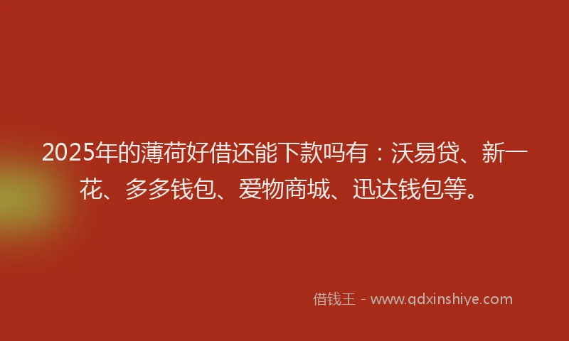2025年的薄荷好借还能下款吗有：沃易贷、新一花、多多钱包、爱物商城、迅达钱包等。