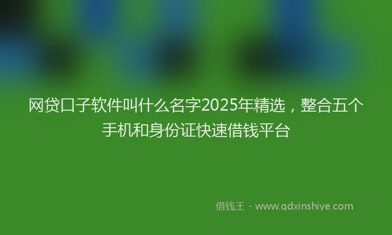 网贷口子软件叫什么名字2025年精选，整合五个手机和身份证快速借钱平台
