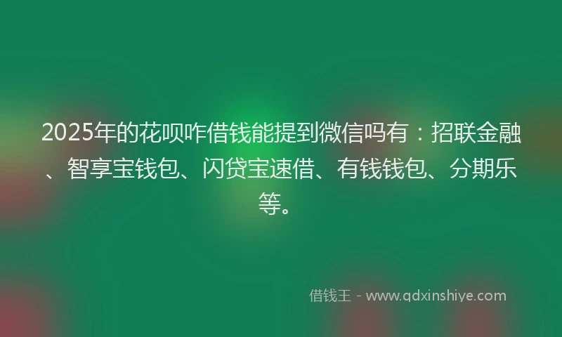 2025年的花呗咋借钱能提到微信吗有：招联金融、智享宝钱包、闪贷宝速借、有钱钱包、分期乐等。