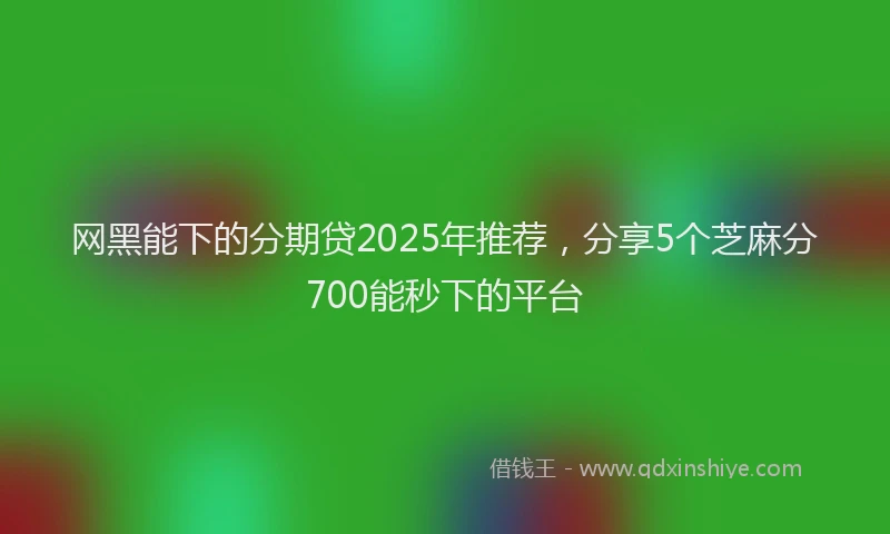 网黑能下的分期贷2025年推荐，分享5个芝麻分700能秒下的平台