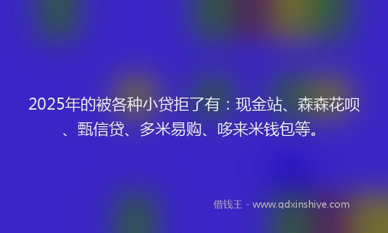 2025年的被各种小贷拒了有：现金站、森森花呗、甄信贷、多米易购、哆来米钱包等。
