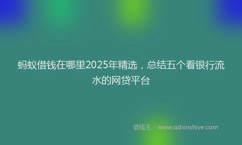 蚂蚁借钱在哪里2025年精选，总结五个看银行流水的网贷平台