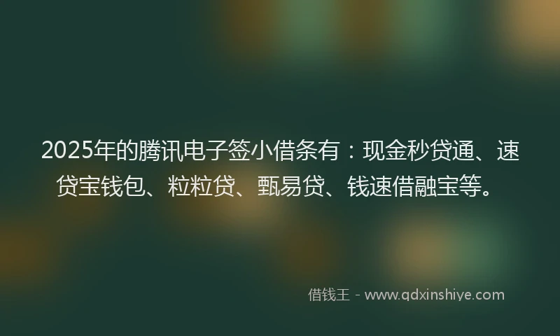2025年的腾讯电子签小借条有：现金秒贷通、速贷宝钱包、粒粒贷、甄易贷、钱速借融宝等。