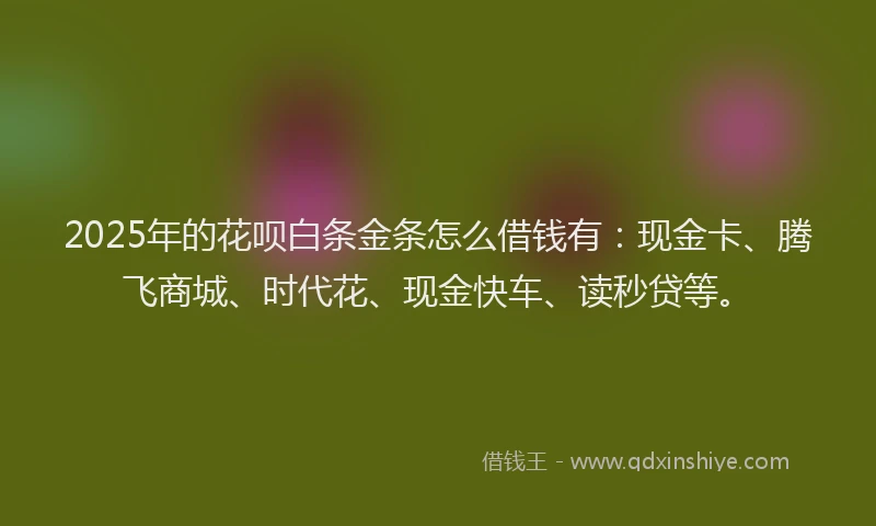 2025年的花呗白条金条怎么借钱有：现金卡、腾飞商城、时代花、现金快车、读秒贷等。