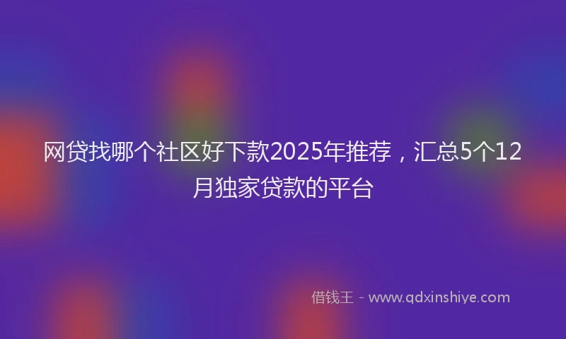 网贷找哪个社区好下款2025年推荐，汇总5个12月独家贷款的平台